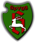 SpVgg Holzgerlingen e.V.